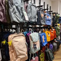 Freizeitrucksack Rucksack Deuter Aevor Fjäll Räven