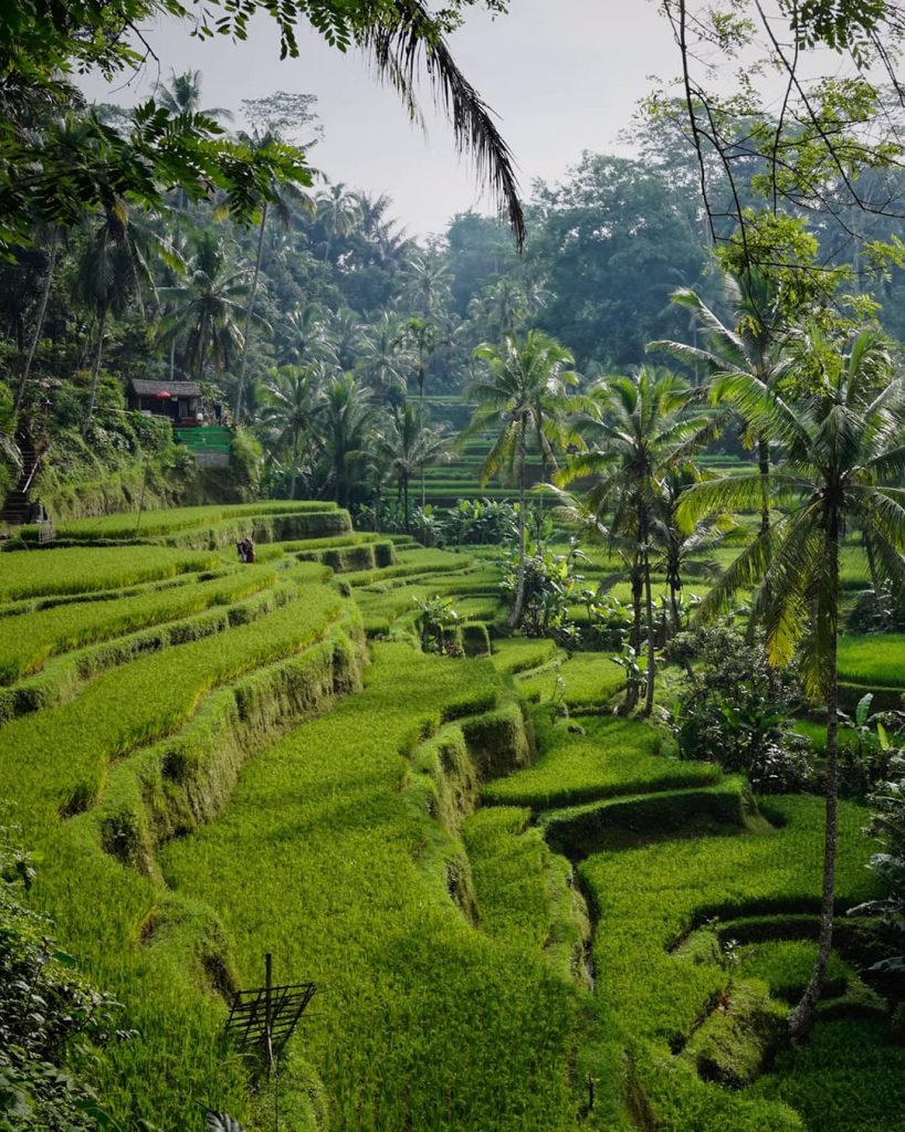 Harenberg Bonn Reisetipps August Bali